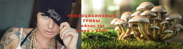 дживик Нефтекумск